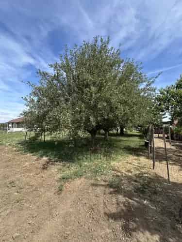 Dányi eladó telek, T040499