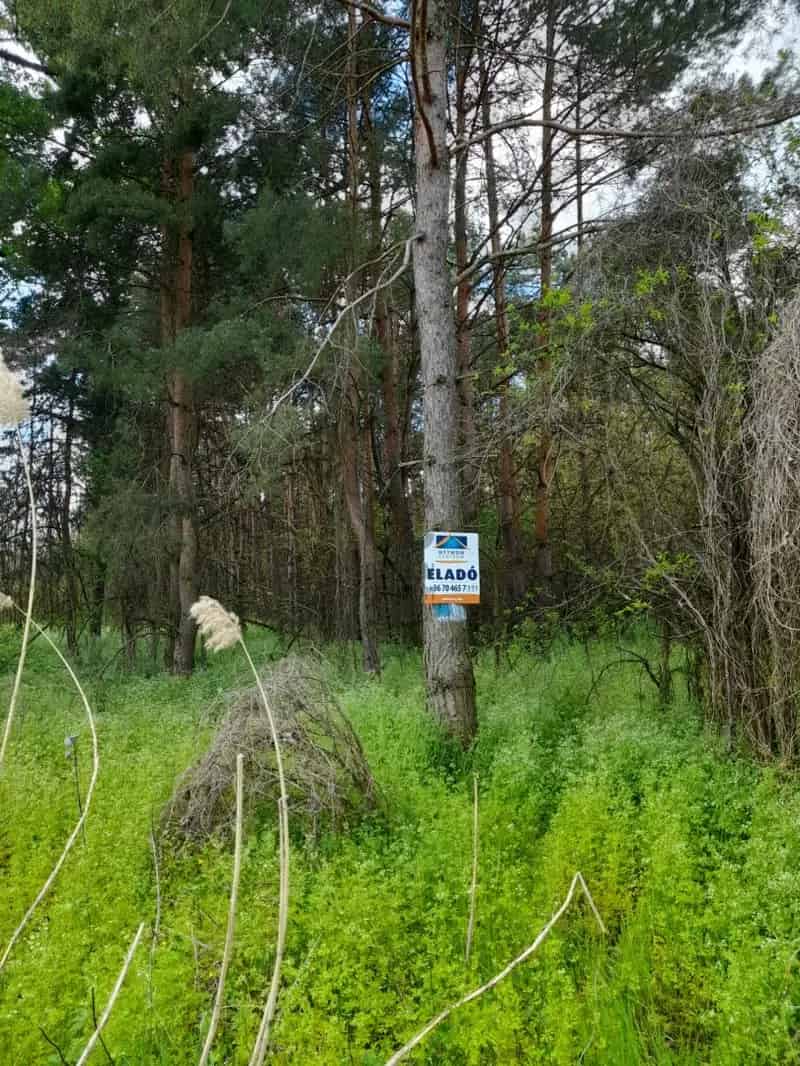 Telek Kiadó , Nagykátai járás, Közép-Magyarország