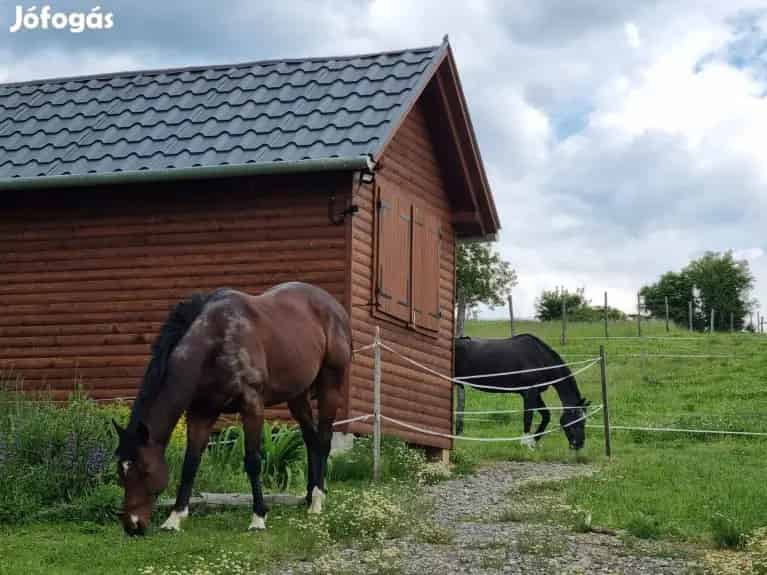 Lótartásra, önellátásra alkalmas ingatlan - Somogyhárságy, Tanya - Jófogás Ingatlan