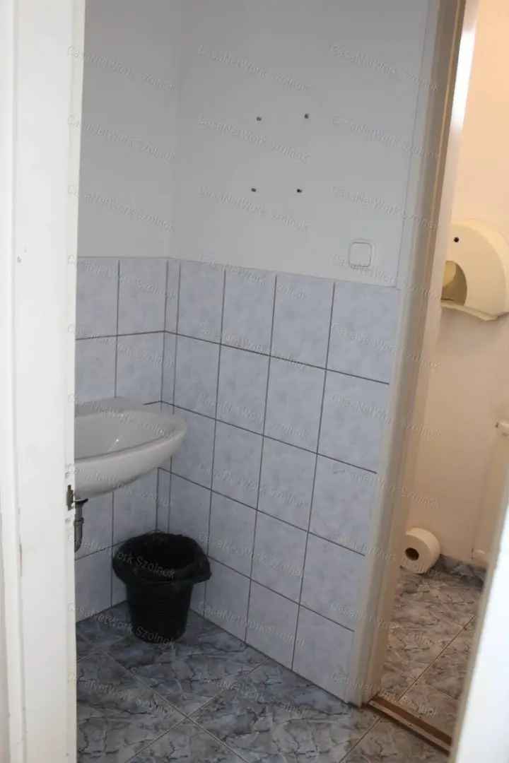 Üzleti célú Kiadó , Szolnoki járás, Alföld és Észak