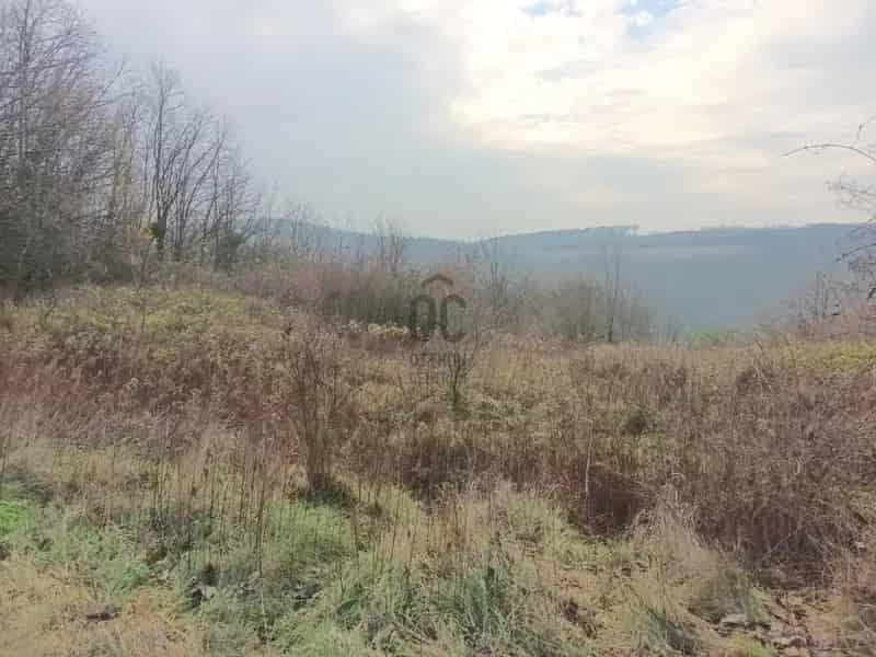 Telek Kiadó , Zalaszentgróti járás, Dunántúl