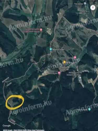 7 1 hektar mezogazdasagi ingatlan elado Bataapatiban