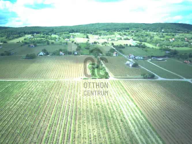 Tagyoni eladó mezőgazdasagi ingatlan, M0002867