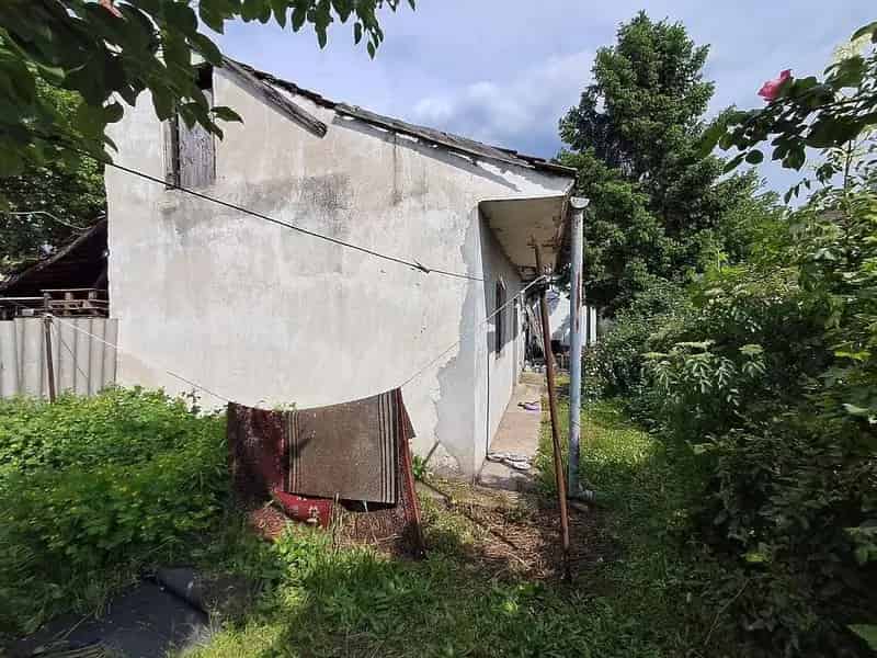 Telek Kiadó , Budapest, Közép-Magyarország
