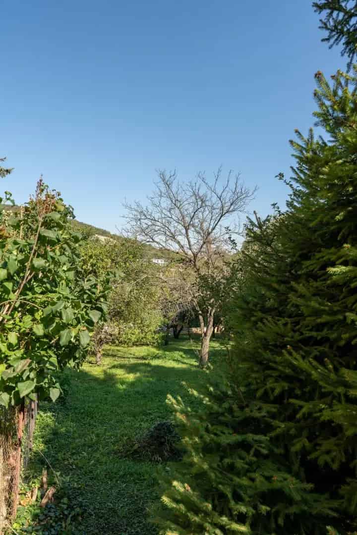 Telek Kiadó , Budapest, Közép-Magyarország