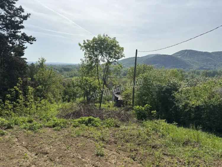 Telek Kiadó , Szobi járás, Közép-Magyarország