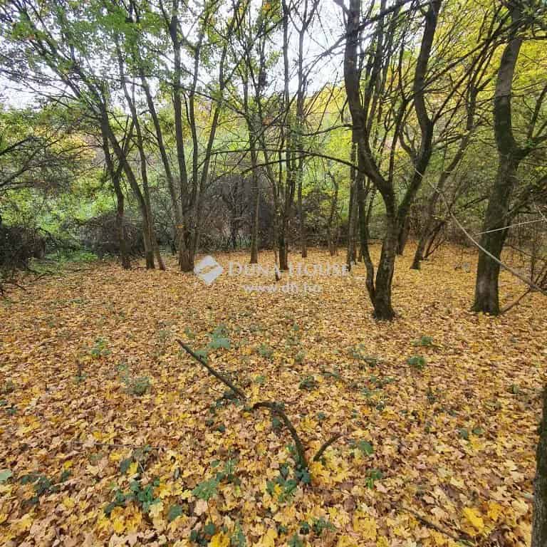Telek Eladó , Verőce, Közép-Magyarország