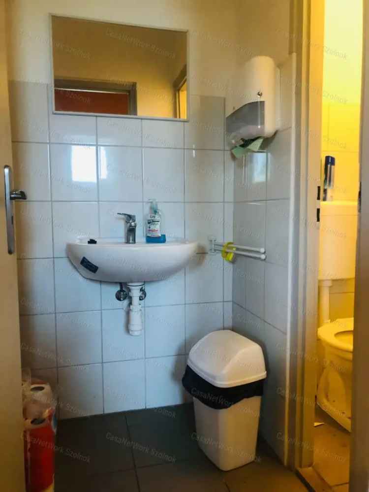 Üzleti célú Kiadó , Nagykátai járás, Közép-Magyarország