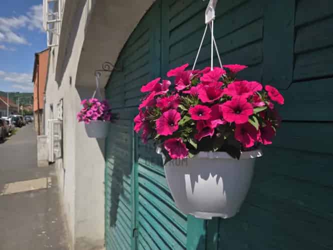 Kőszegi eladó lakás, DLK059816