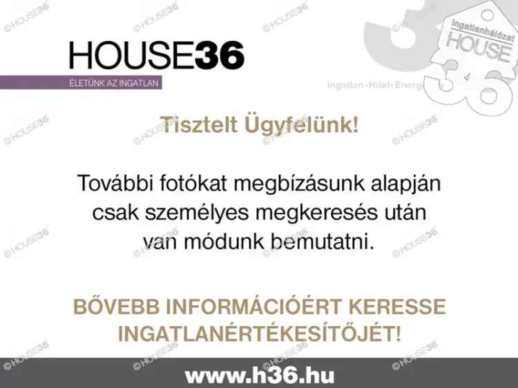 Üzleti célú Kiadó , Kecskeméti járás, Alföld és Észak