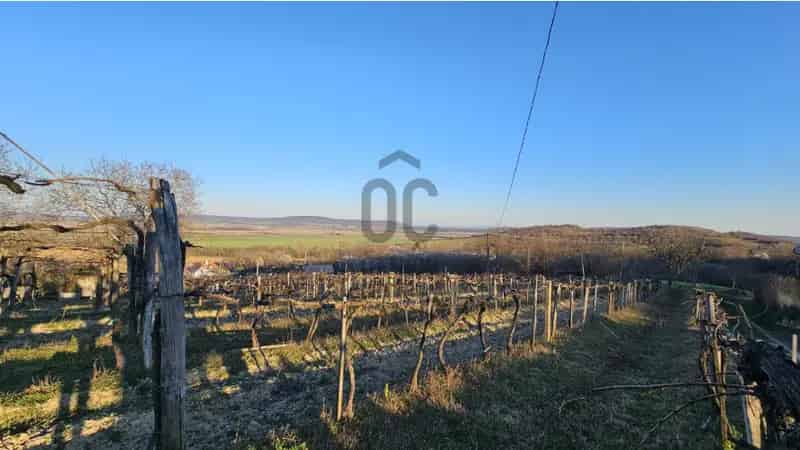 Mindszentkállai eladó nyaraló, NY012450