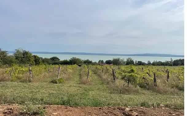 Telek Kiadó , Balatonfüredi járás, Dunántúl
