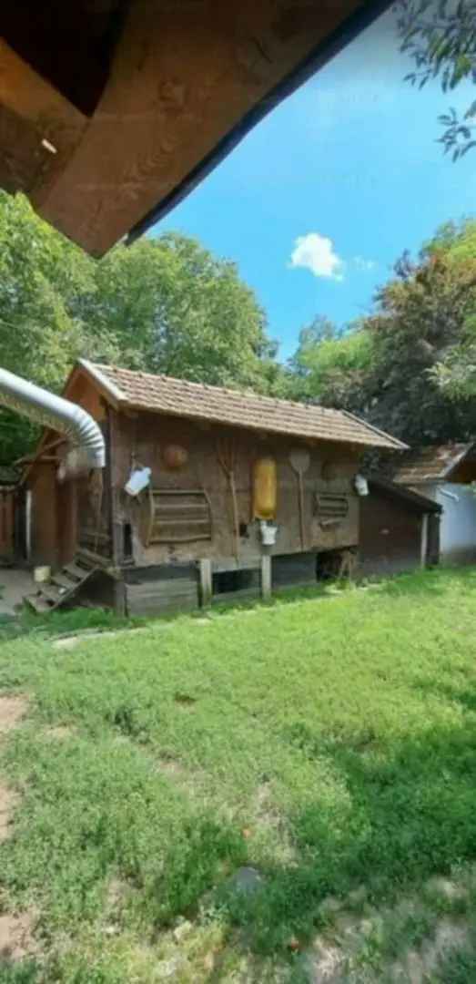 Telek Kiadó , Makó, Alföld és Észak