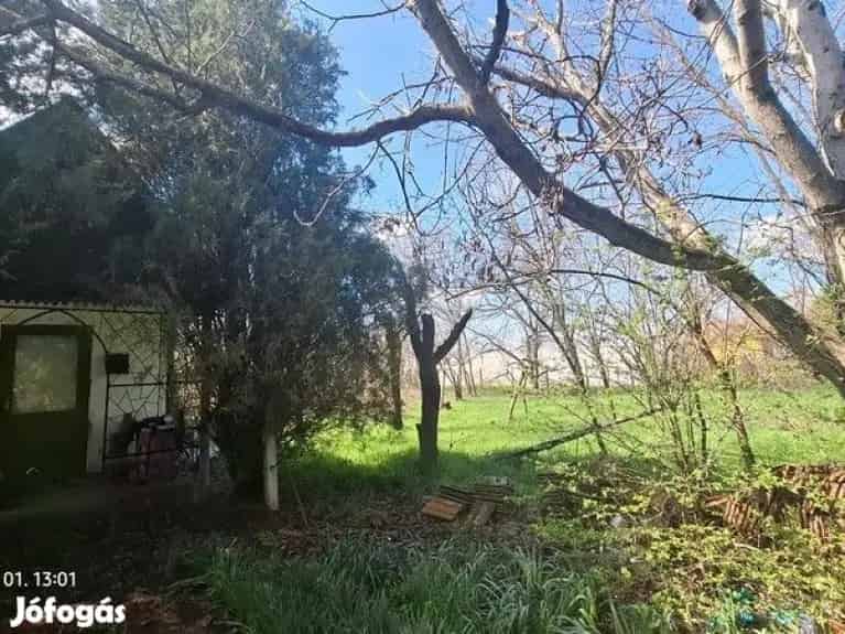 Eladó Külterületi telek Gyula - Gyula, Telek, föld - Jófogás Ingatlan