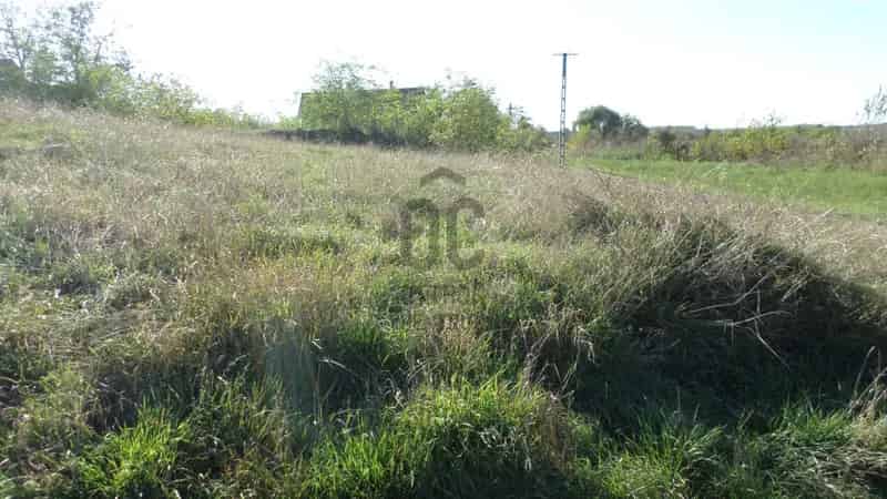 Egyeki eladó telek, T037176