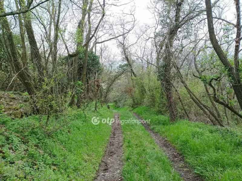 Telek Kiadó , Tapolcai járás, Dunántúl