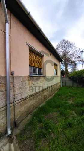 Jászapáti eladó családi ház 1177 m2-es telken
