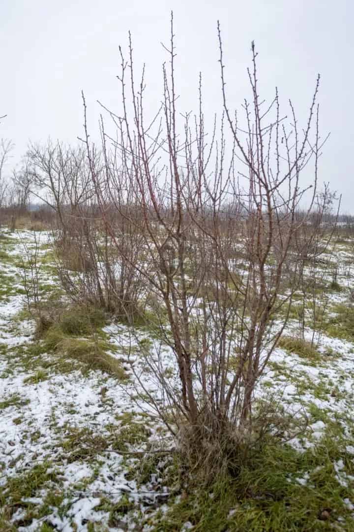 7390 m2-es Telek Eladó Nádasdladány Jenő Közelében