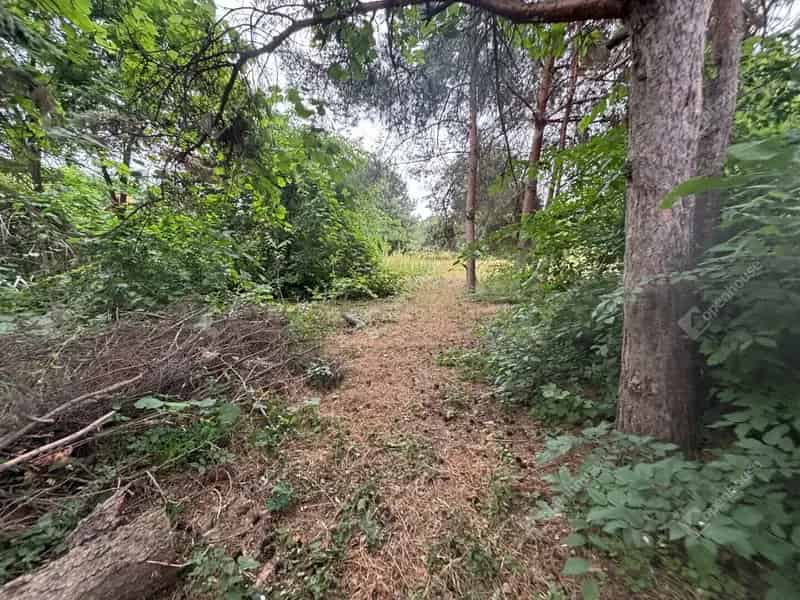 Telek Kiadó , Monori járás, Közép-Magyarország