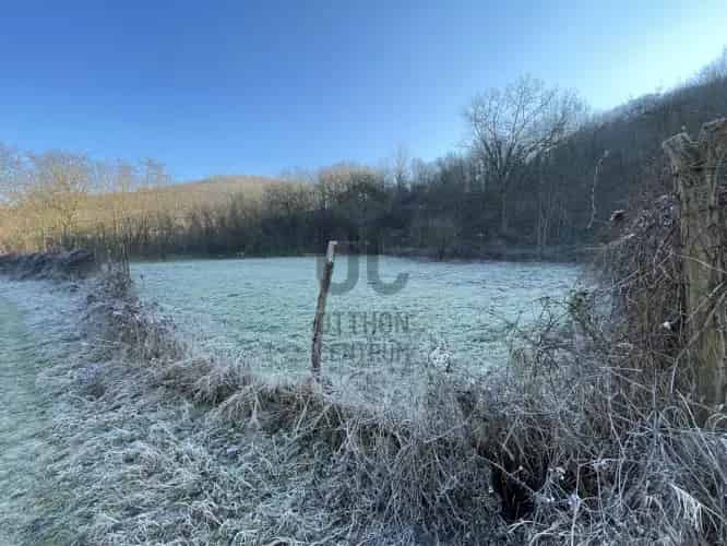 Szekszárdi eladó mezőgazdasagi ingatlan, M0002543