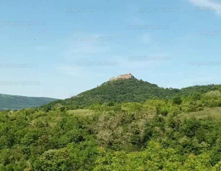 Telek Kiadó , Visegrád, Közép-Magyarország