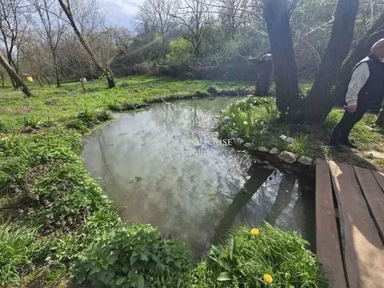 Telek Kiadó , Pécsi járás, Dunántúl