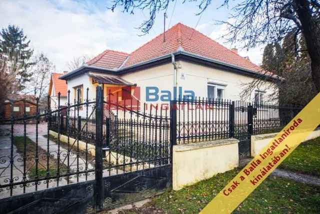 Nógrád , Petőfi utca