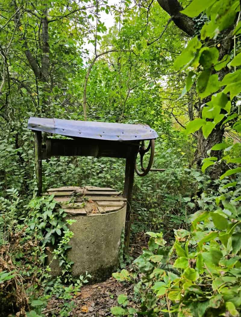 Telek Kiadó , Budapest, Közép-Magyarország