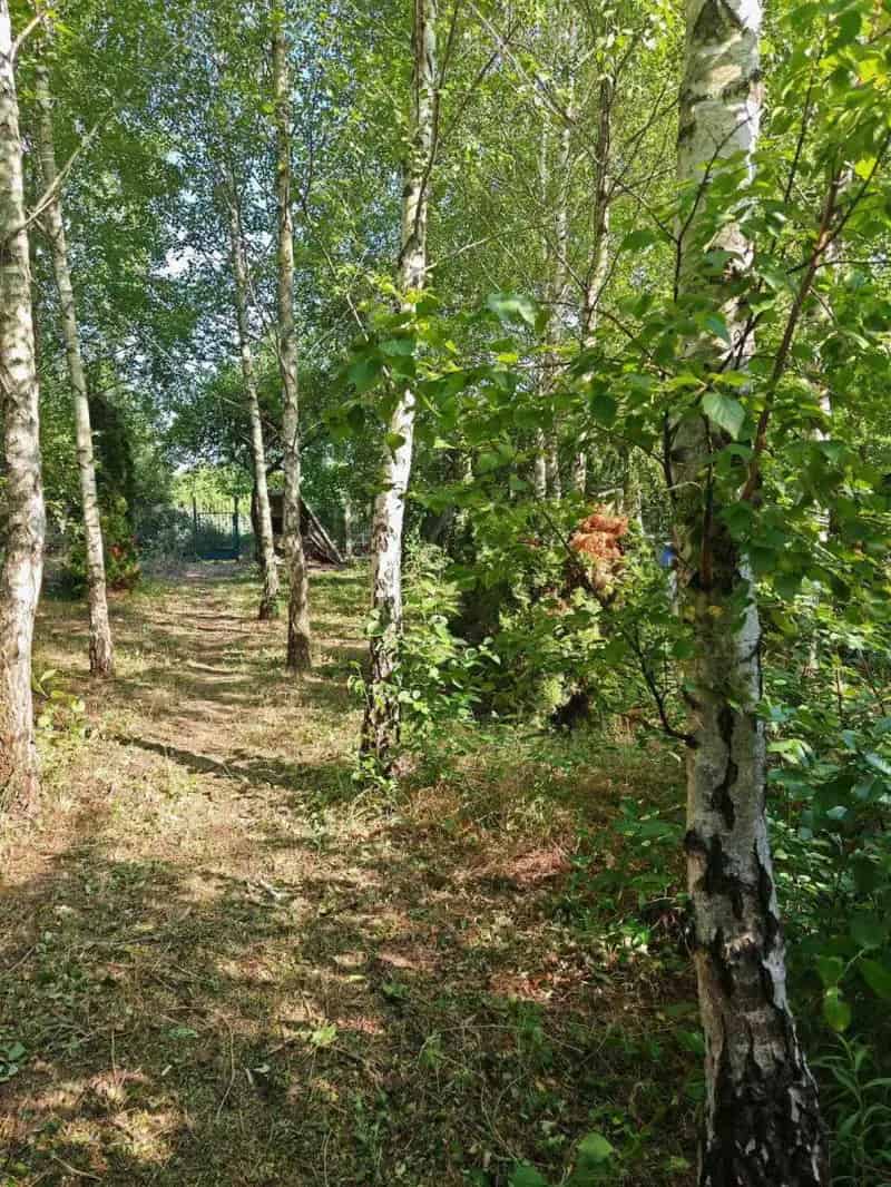 Telek Kiadó , Győri járás, Dunántúl