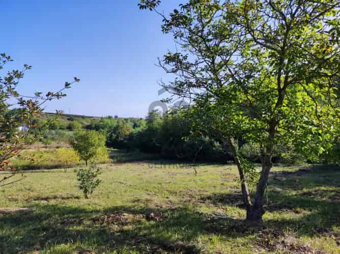 Balatonkeresztúri eladó mezőgazdasagi ingatlan, T031869