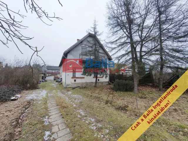 Gödöllő , Isaszegi út