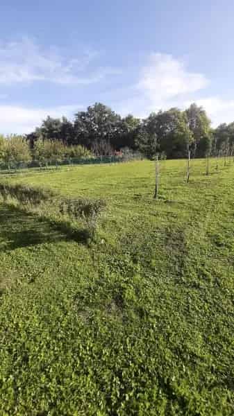 Telek Kiadó , Balatonfüredi járás, Dunántúl