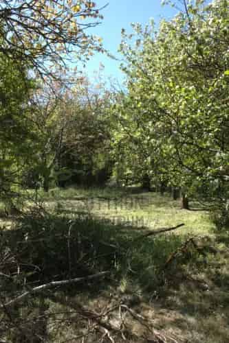 Solymári eladó telek, T039956