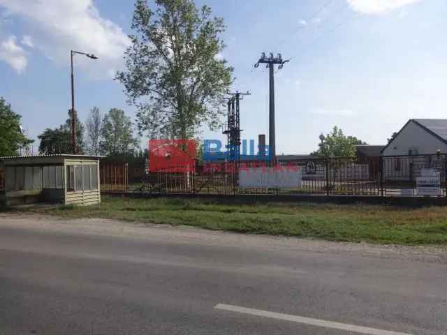 Tiszakécske , Dózsa telep utca