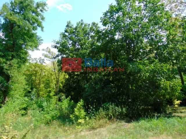 Tordas , Szabadság utca