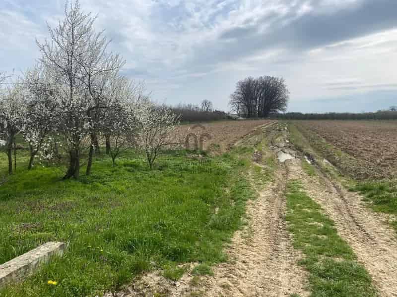 Telek Kiadó , Vásárosnaményi járás, Alföld és Észak