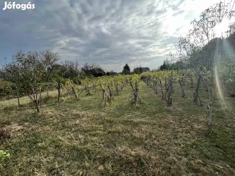 Építési telek Révfülöpön - Révfülöp, Telek, föld - Jófogás Ingatlan
