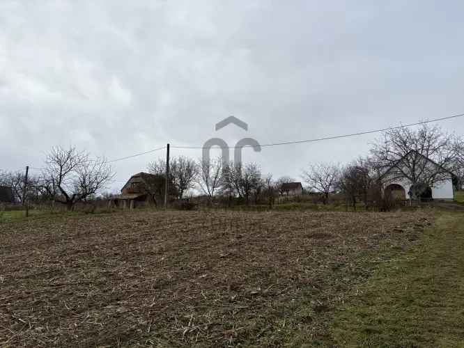Adandi elado mezogazdasagi ingatlan 6172 m2 30 m2 gazdasagi epülettel