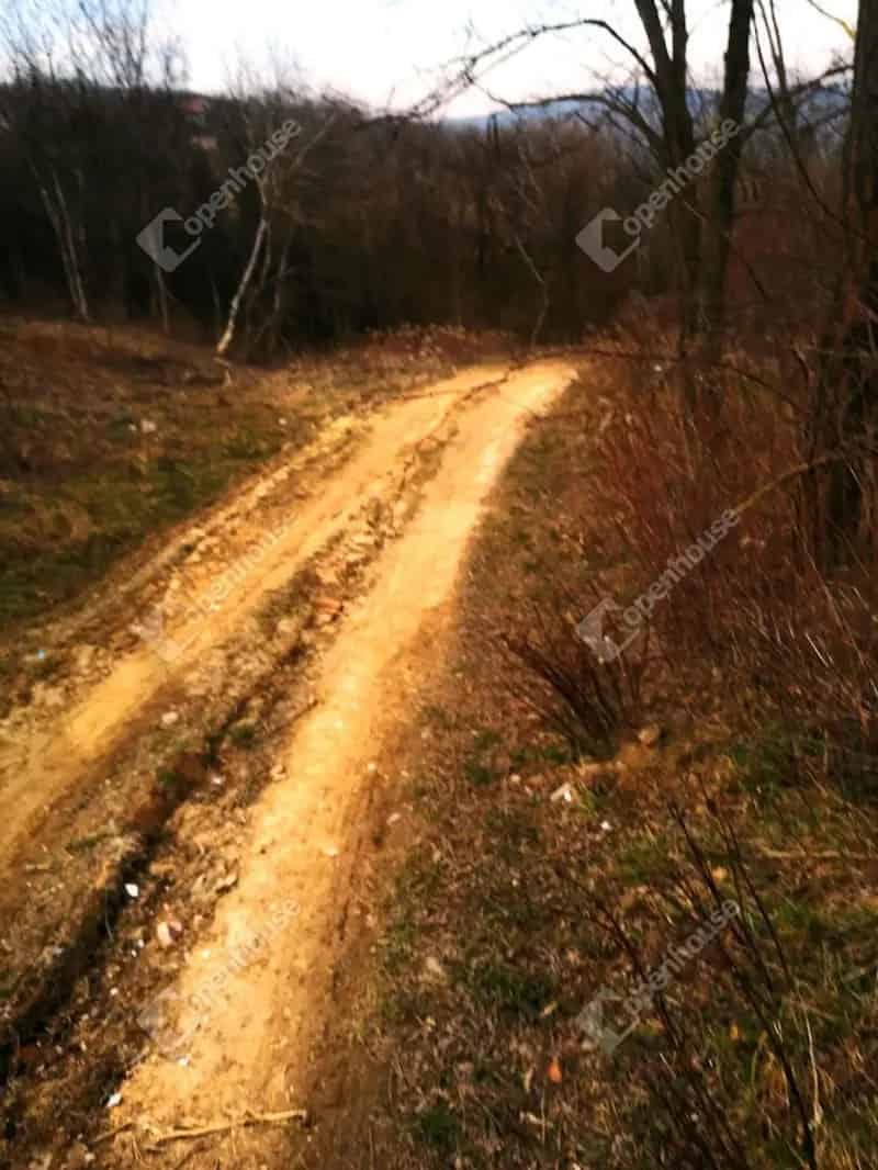 Telek Kiadó , Zalaegerszegi járás, Dunántúl