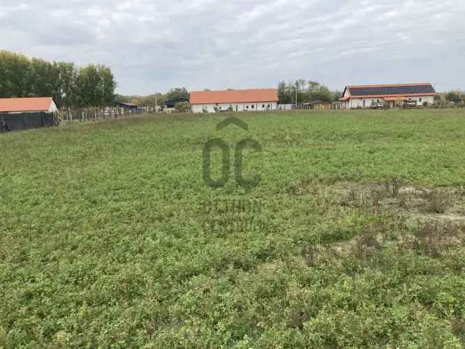 Kecskeméti eladó mezőgazdasági ingatlan 26000 m2