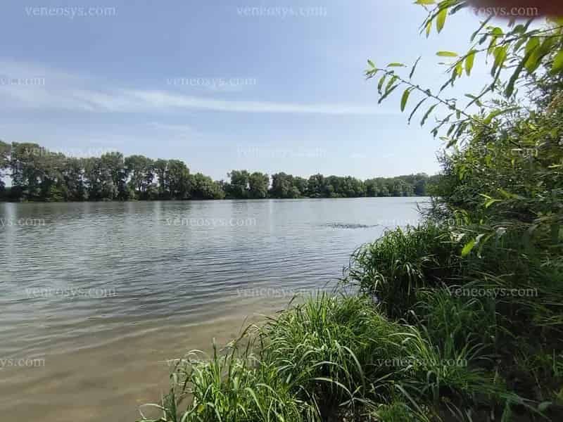 🌞 Tökéletes nyaraló vagy állandó otthon a Tisza partján – eladó családi ház Balsán! 🌳