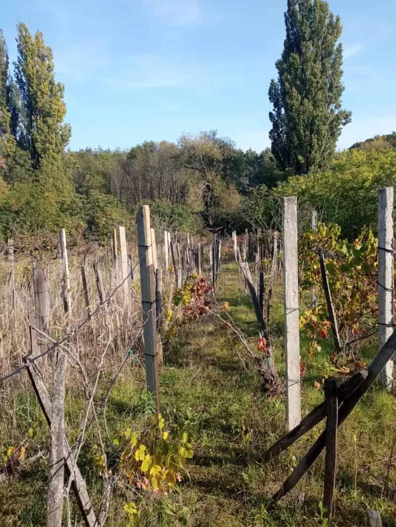 Telek Kiadó , Monori járás, Közép-Magyarország