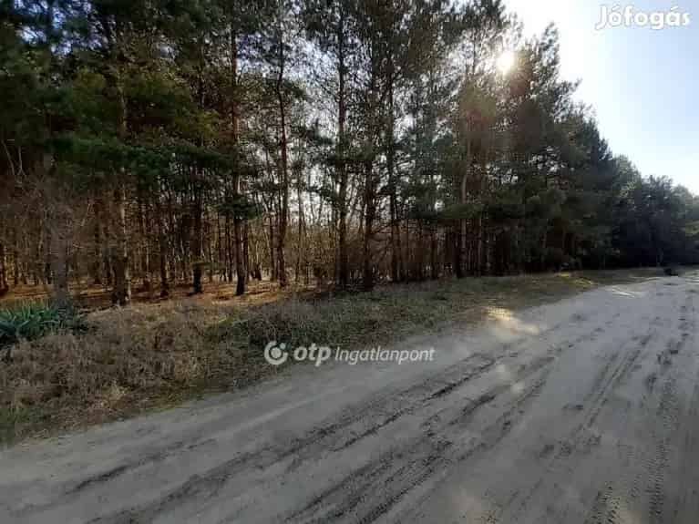 Eladó Fejlesztési terület, Kecskemét - Kecskemét, Telek, föld - Jófogás Ingatlan