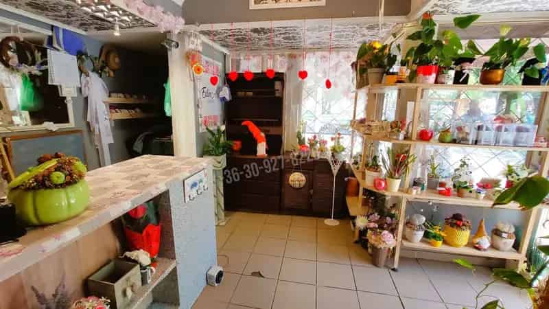 Üzleti célú Kiadó , Győri járás, Dunántúl