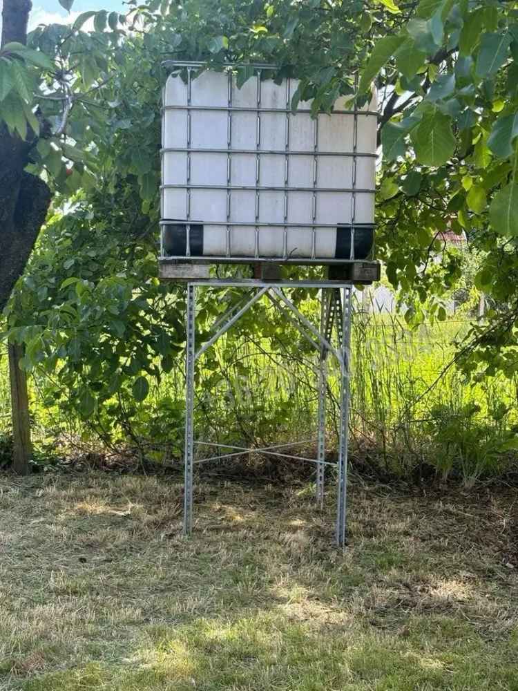 Két 2255 nm-es szőlőskert eladó Hajdúböszörményben