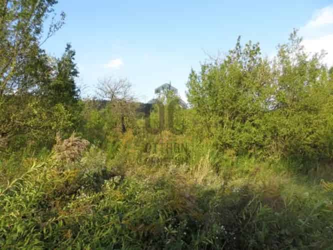 Nagykovácsii eladó mezőgazdasagi ingatlan, T015269