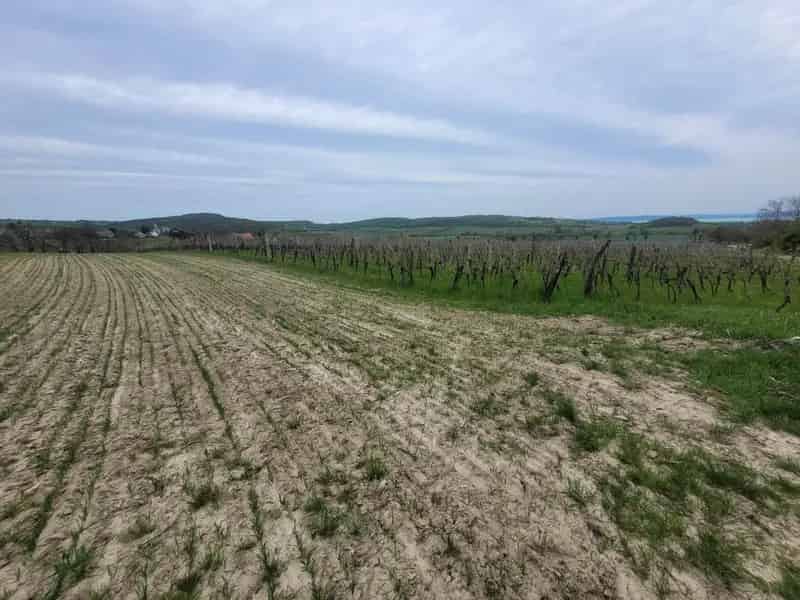 Telek Kiadó , Balatonfüredi járás, Dunántúl