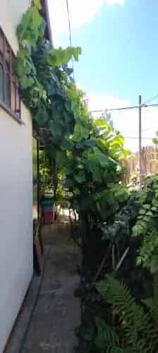 Tóalmási eladó nyaraló, DHZ085785