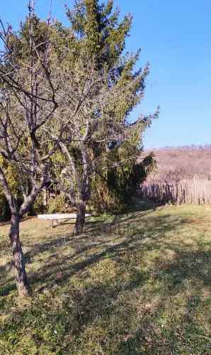 Zalaszántói eladó telek, T037632