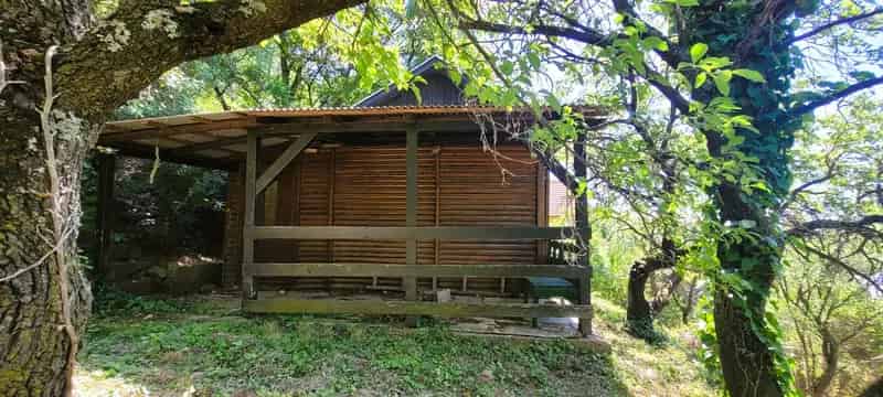Telek Kiadó , Balatonalmádi, Dunántúl